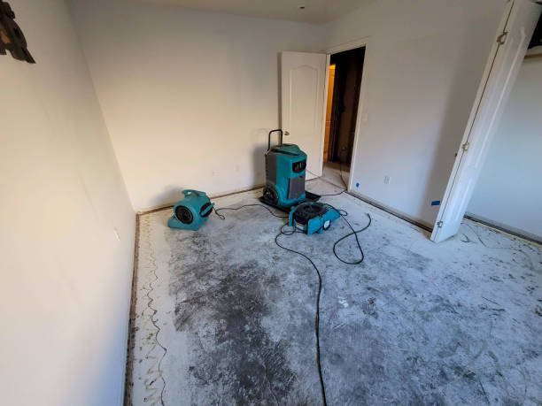 Best Carpet water damage restoration  in Kingston, RI