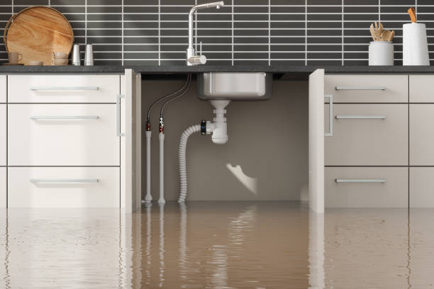 Best Flood restoration services  in Kingston, RI